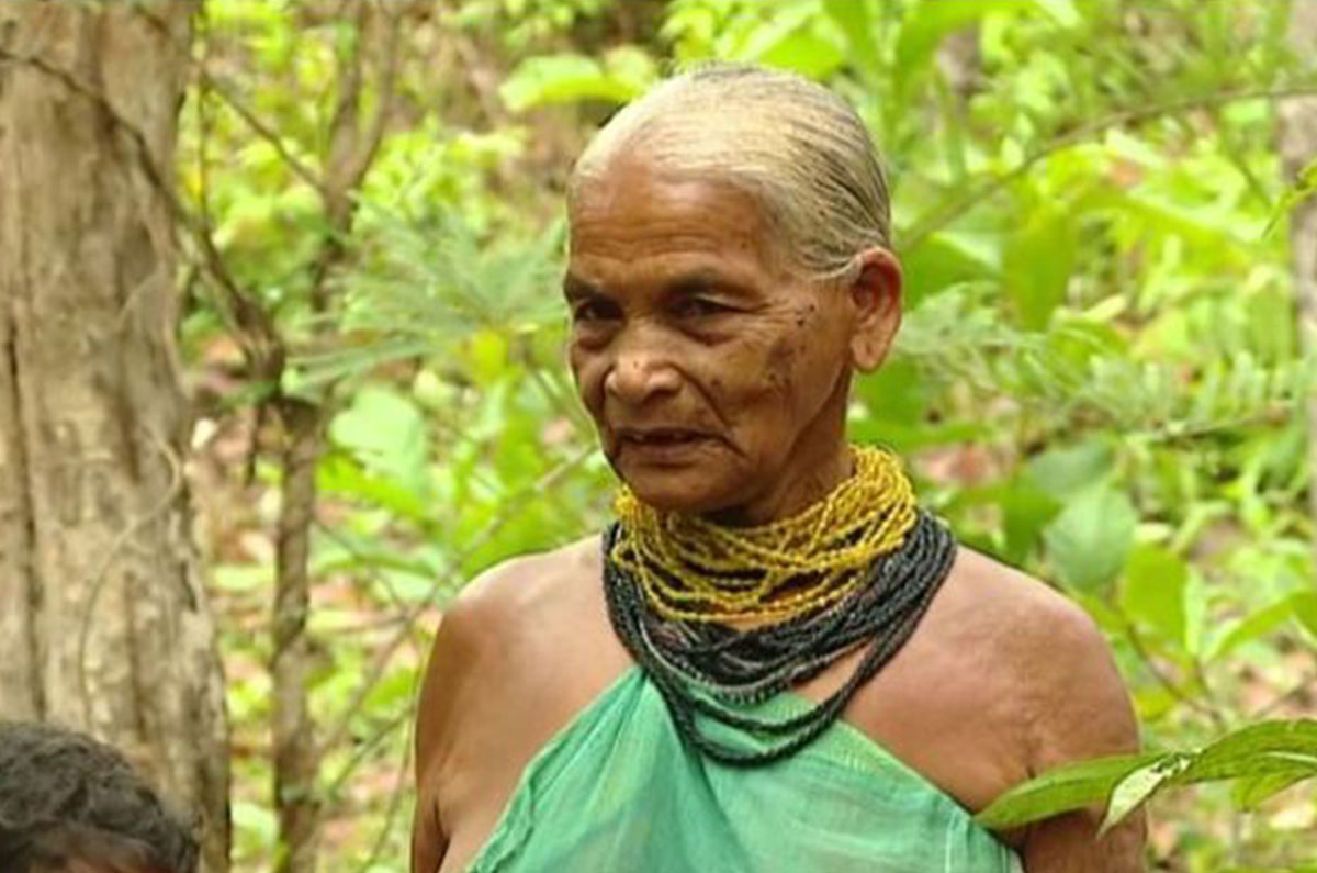 Tulsi Gowda Biography: Know her Age, Story, Environmentalist, Tree Goddess, Padma Shri Awards 2021, Family, Photo, and News