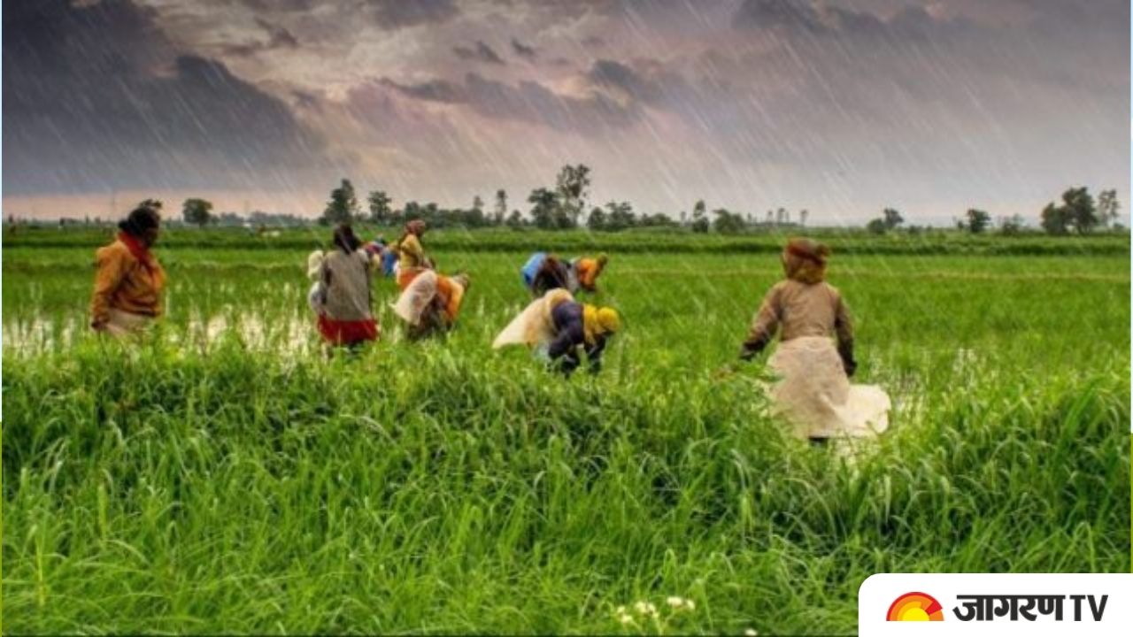 National Farmers Day 2021 today: History, Quotes, Farmers’ Movements in history of India and more