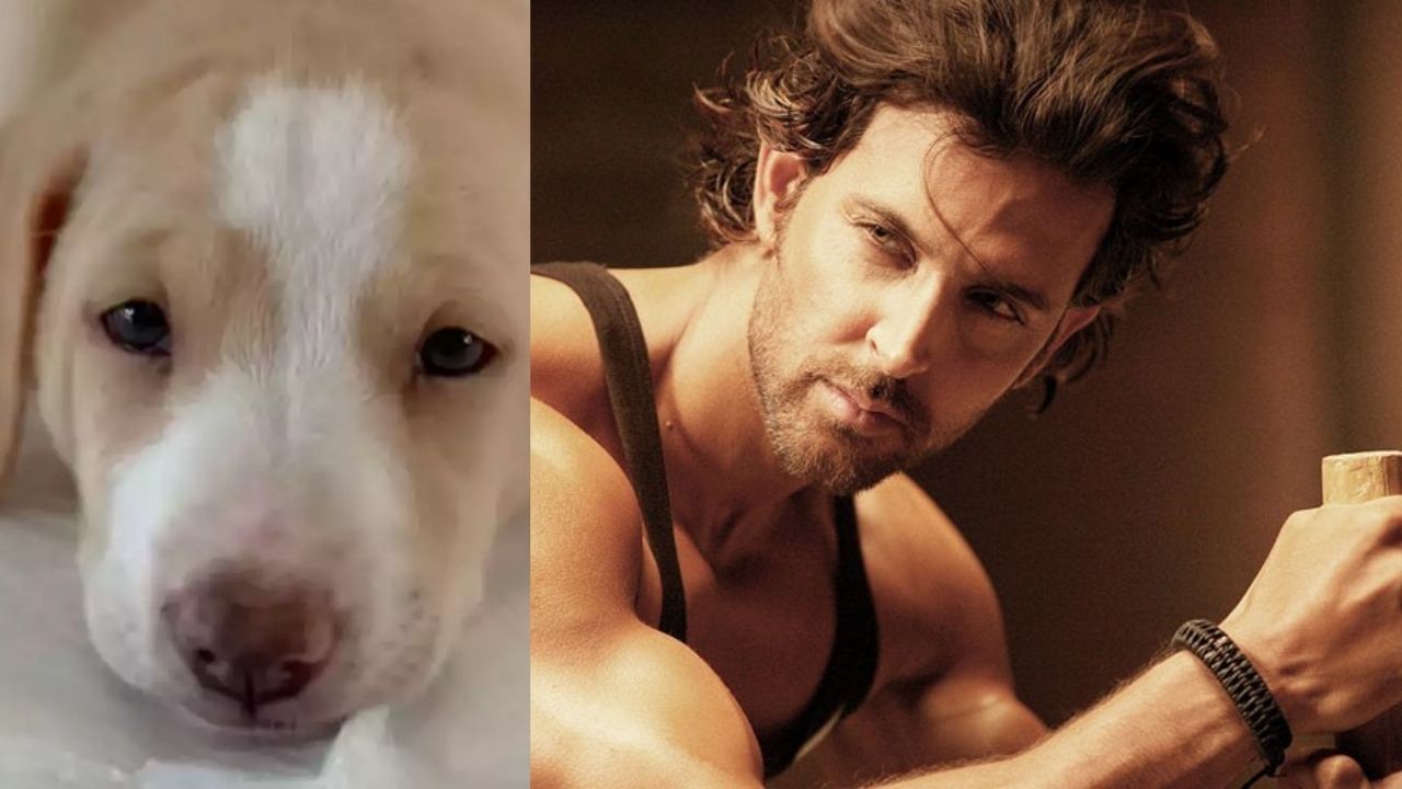 Hrithik Roshan’s Cute Indie Pup Melts Our Heart & Reveals his name
