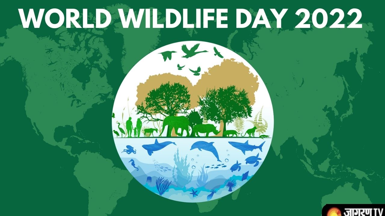 World Wildlife Day 2022 Current Theme, History, Significance, Key