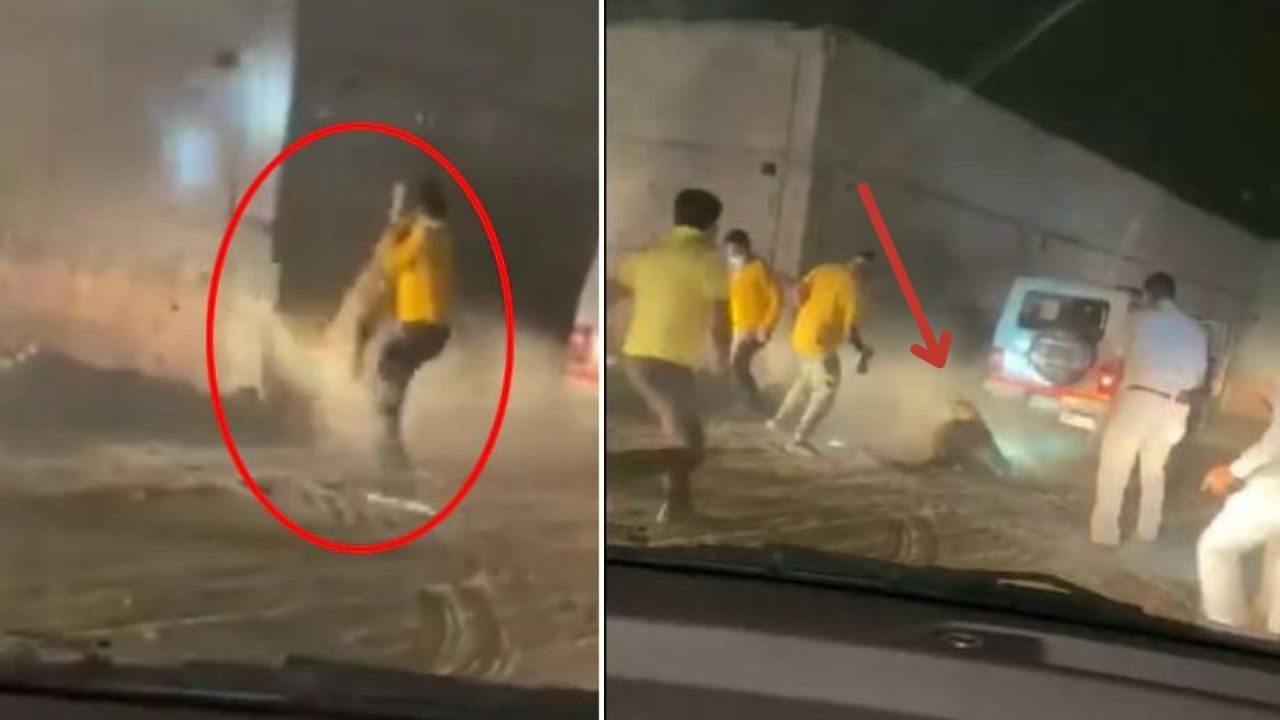 Viral Video :   बहरामपुर में तेंदुए का आतंक, पकड़ने पहुंचे पुलिसकर्मियों को किया लहूलुहान - देखें वीडियो
