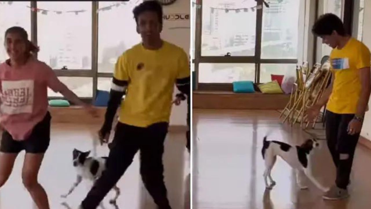 Viral Video: युवकों के बीच इस नन्हें Dog ने किया ऐसा जबरदस्त डांस, तारीफ करने पर मजबूर हुए लोग- देखें वीडियो