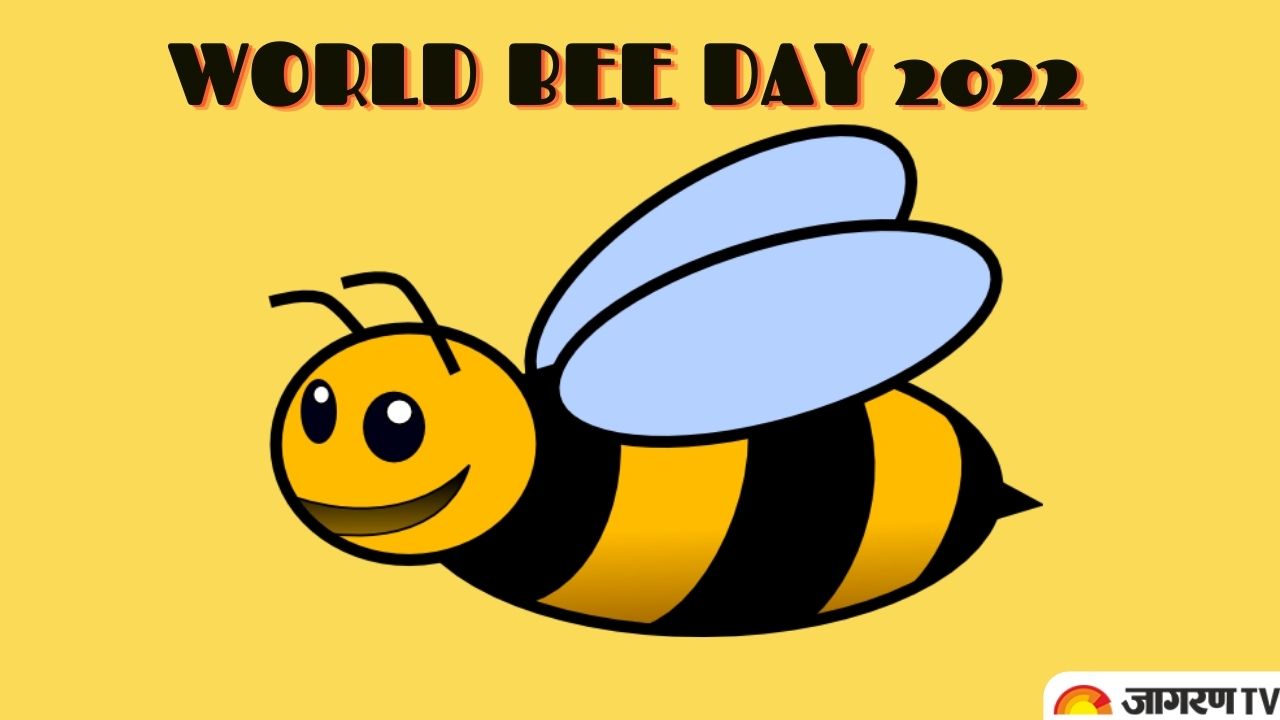 World Bee Day 2022: Theme, History, Significance, Quotes,Threat to Bees ...