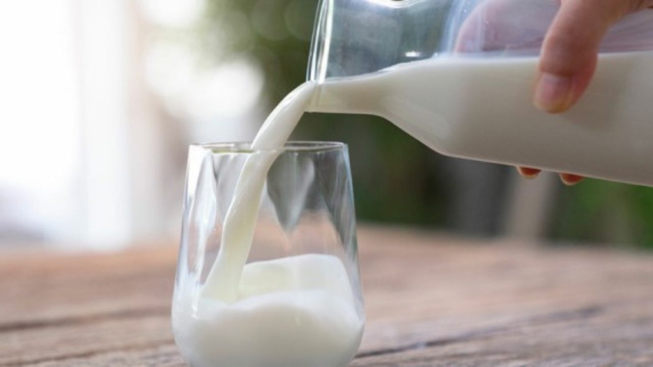 World Milk Day 2022: दूध असली या नकली? इन 5 तरीकों को अपनाकर घर बैठे करें इसकी जांच