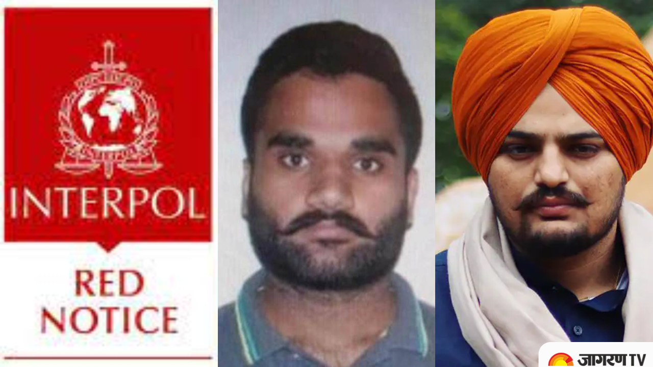 Sidhu Moose Wala Murder: Red Corner Notice Issued for Goldy Brar | What is Red Corner Notice?