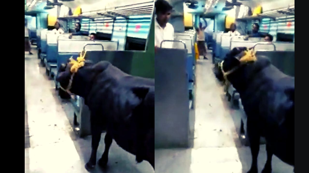 Viral Video: सावन में नंदी ने की ट्रेन की सवारी, पकड़ी झारखंड टू बिहार की गाड़ी