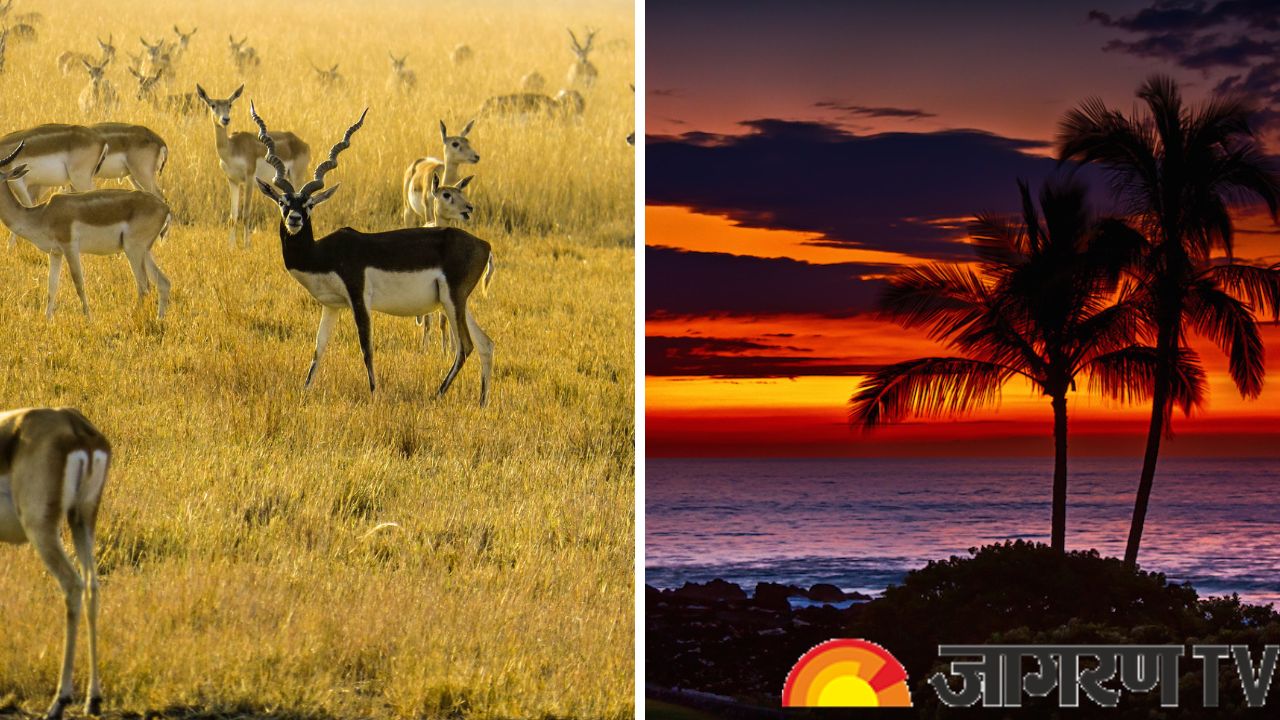 This Day In History 21 August From Passing Of Wildlife Protection Act 