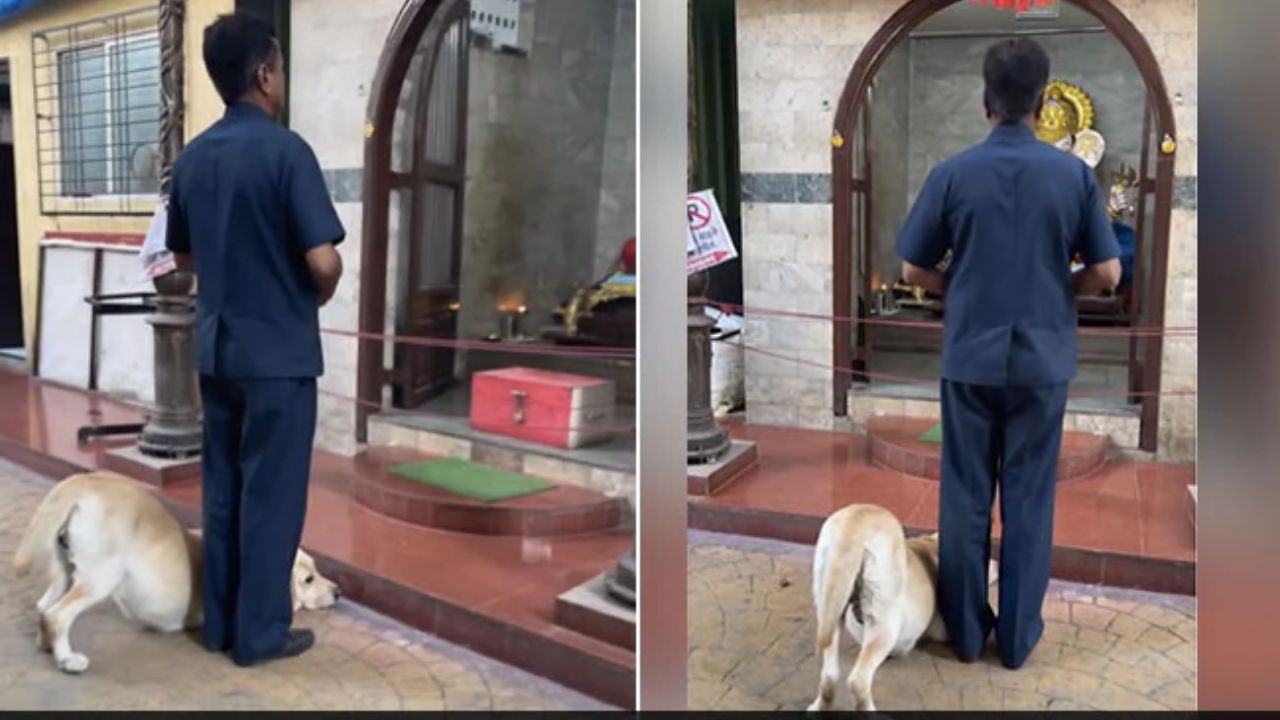 Viral Video: दोनों पैर और सिर को झुकाकर कुत्ते ने किया भगवान गणेश को दंडवत प्रणाम, देखें वीडियो