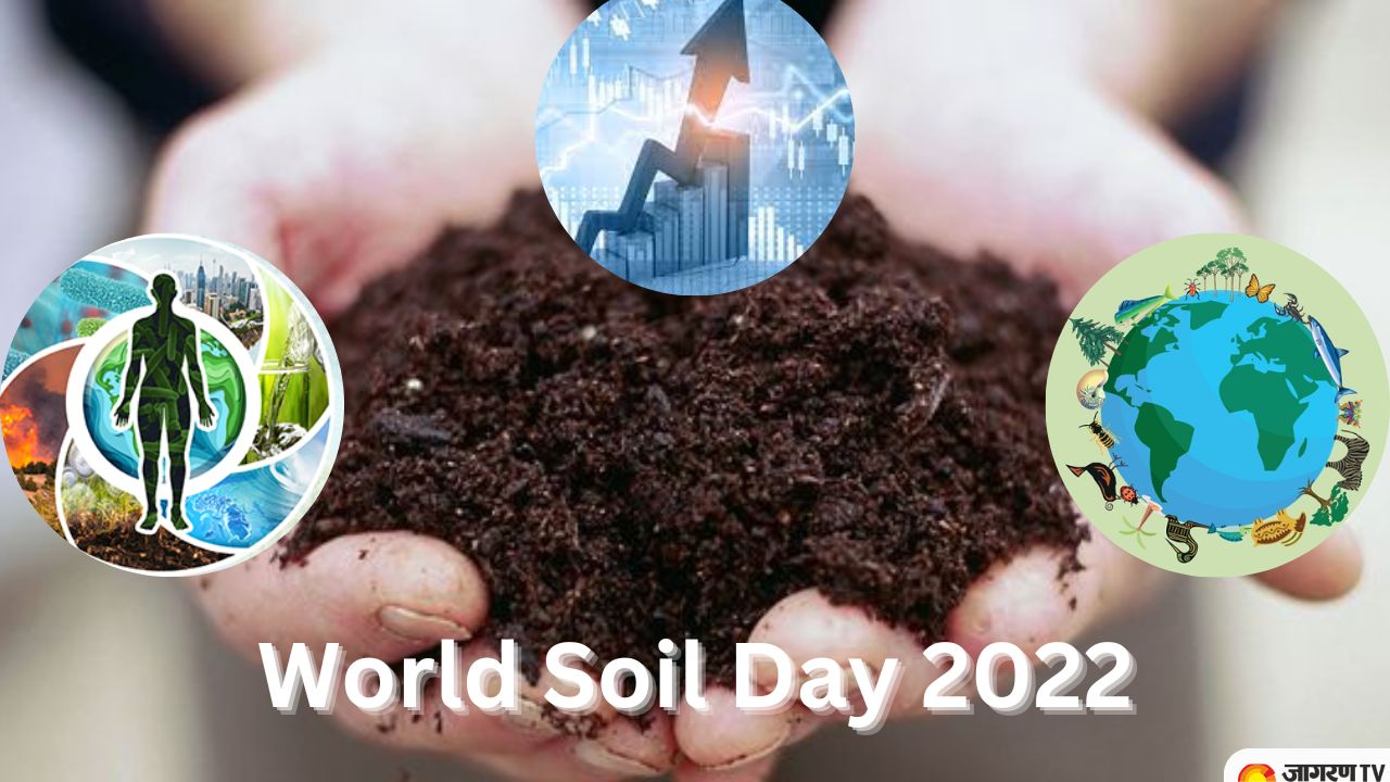 World Soil Day 2022: See Benefits of Healthy Soil, from Nutrition to Economy