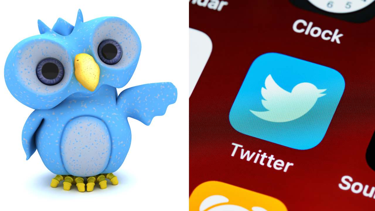 Grey for Govt. Golden for companies Twitter induces new changes as PM Modi’s blue ticks goes missing