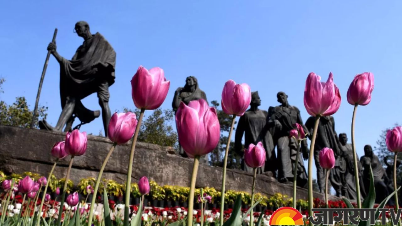 Tulip Festival 2023 Know the dates, Venue and Timings of one of the