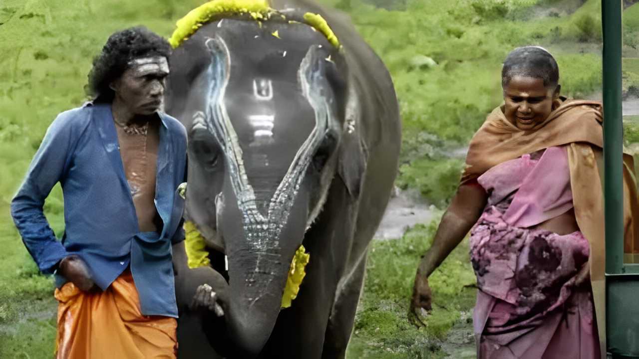 Oscar Winning ‘The Elephant Whisperers’ couple cannot watch their own documentary, know why