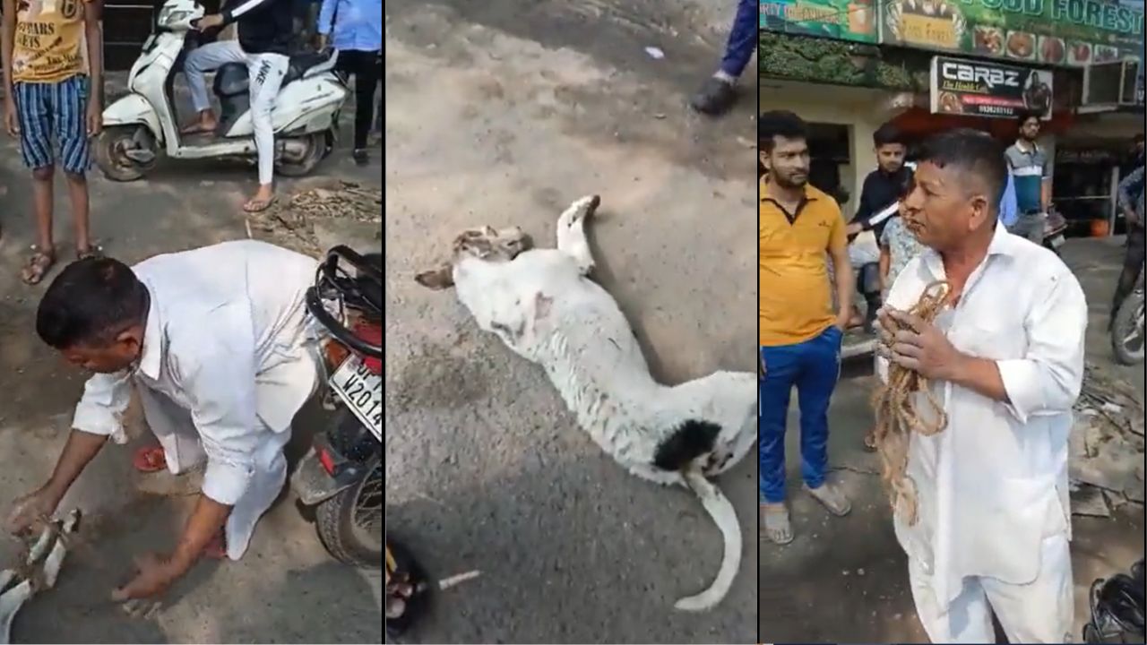 Viral Video :  कुत्ते को बाइक से बांधकर घसीटता ले गया शख्स, लोगों ने पीछा कर आरोपी को पकड़ा, देखें वीडियो