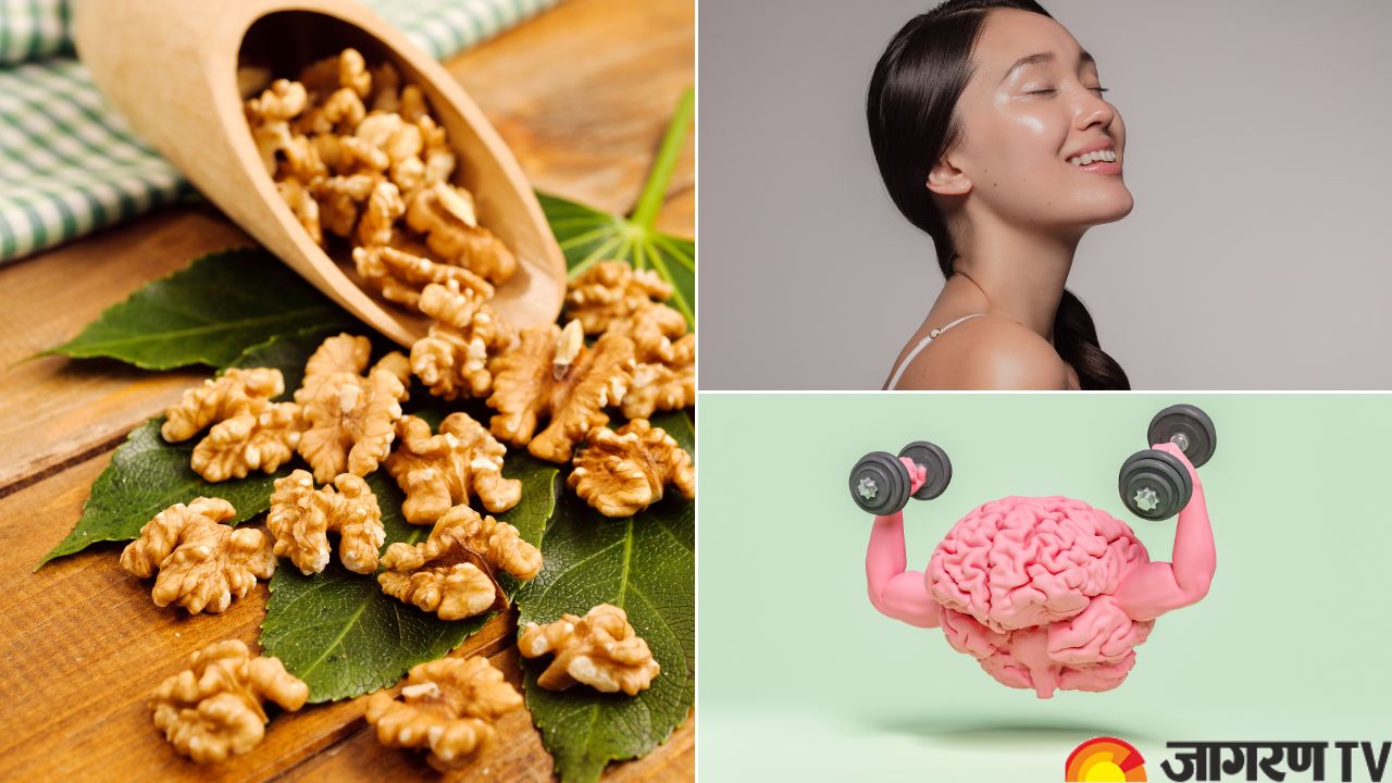 The Mighty Walnut: A Nutritious Addition to Your Diet for Brain Health and Cancer Prevention