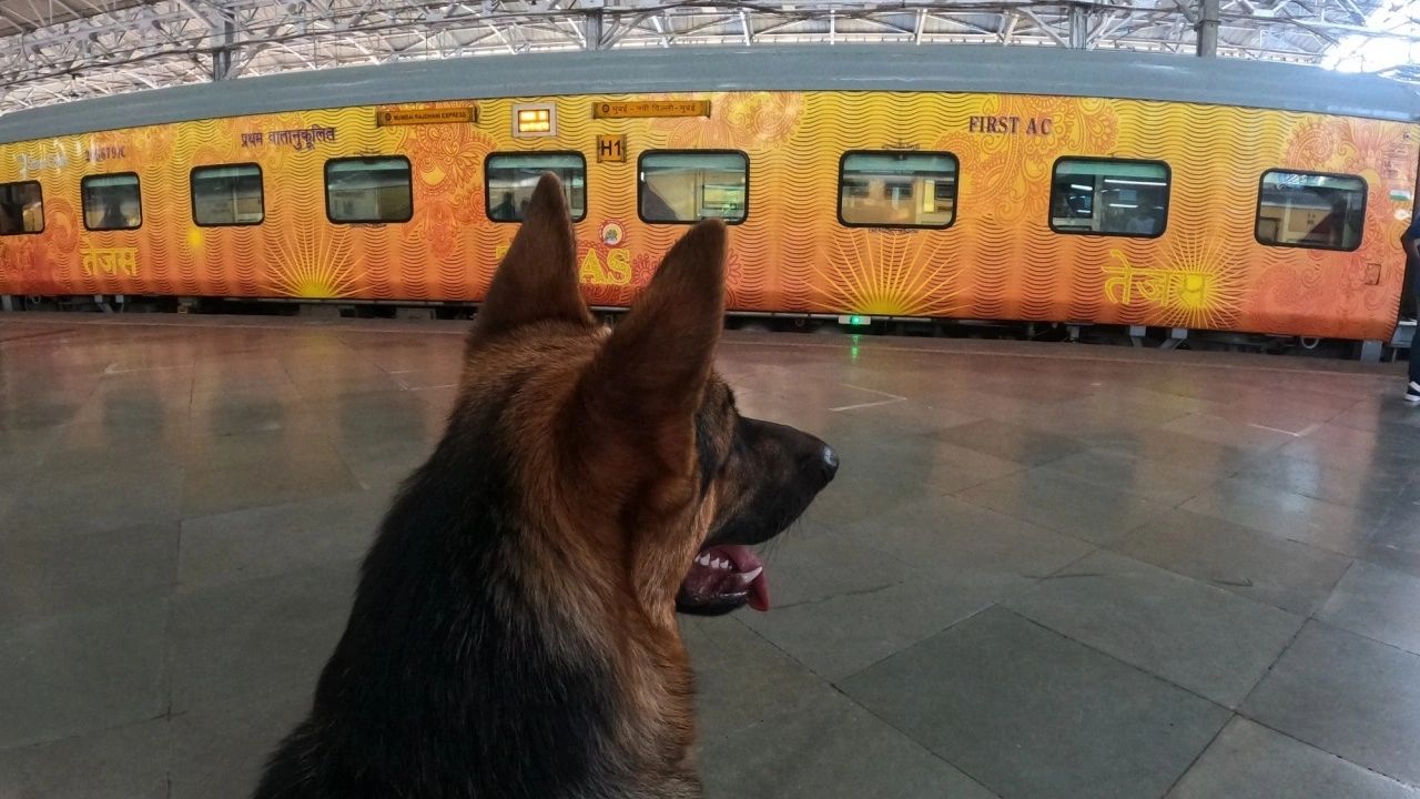 pet travel in indian railways