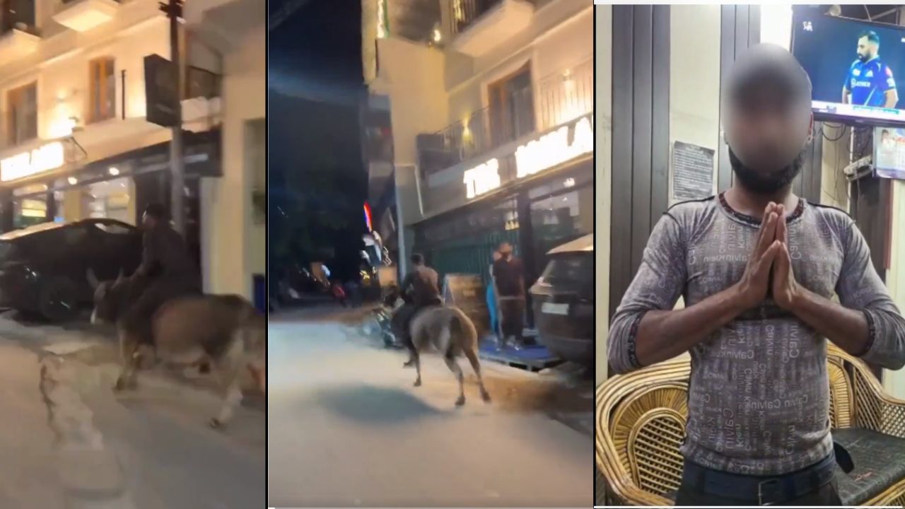 viral video: सांड की सवारी करने वाले युवक पर कसा कानूनी शिकंजा, हाथ जोड़कर मांगी माफी, देखें वीडियो