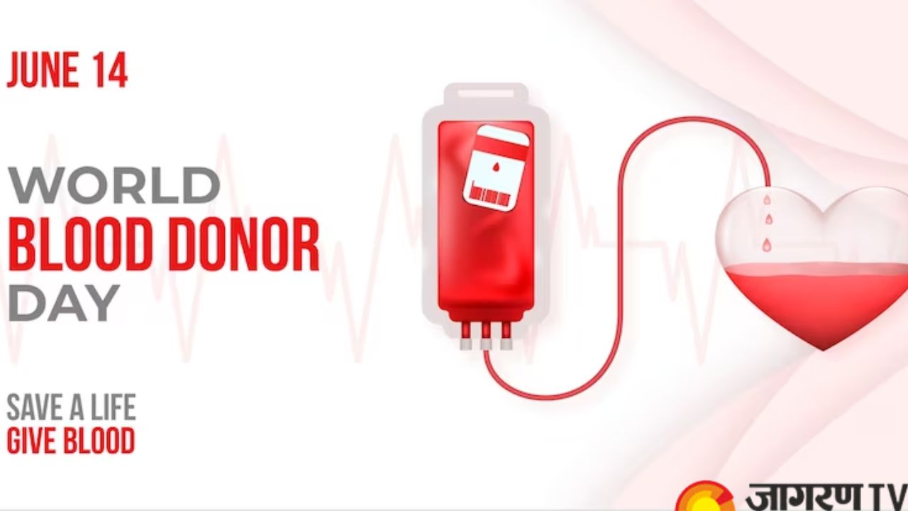 World Blood Donor Day 2023: Here Are The Blood Bank Details Of 5 Metro ...