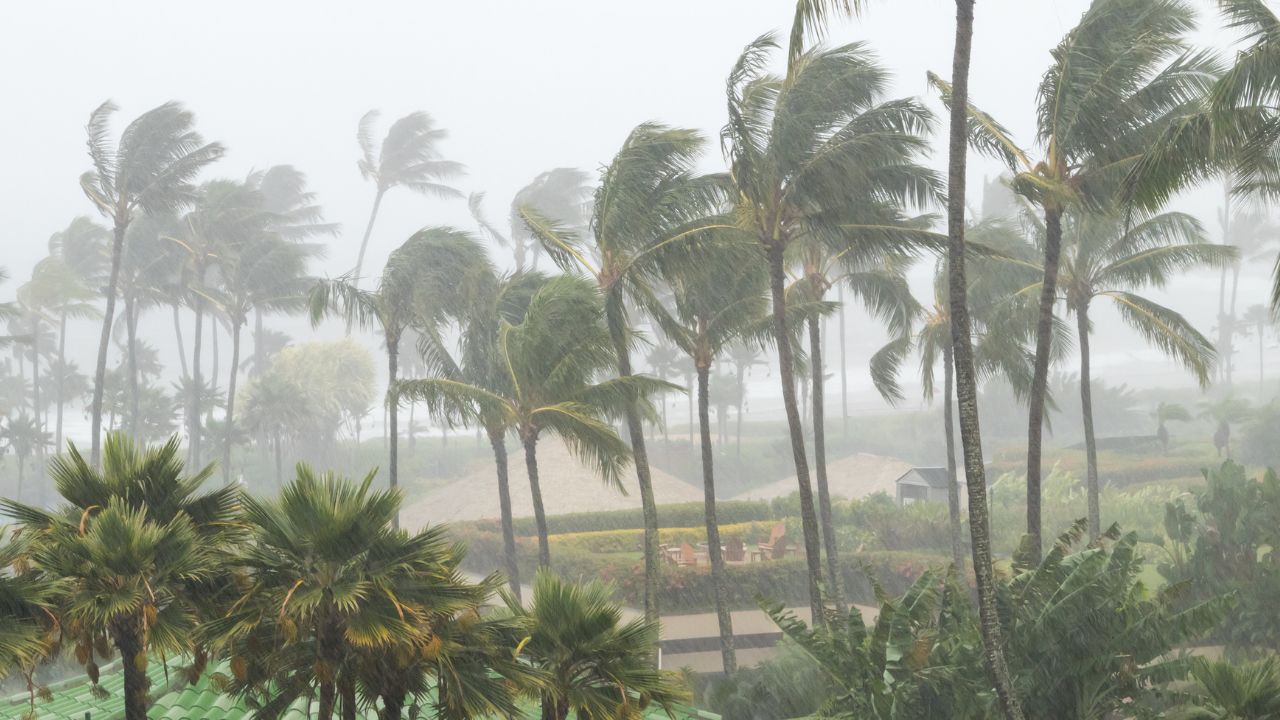 Cyclone Biparjoy: Know The Benefits Of Tropical Cyclones