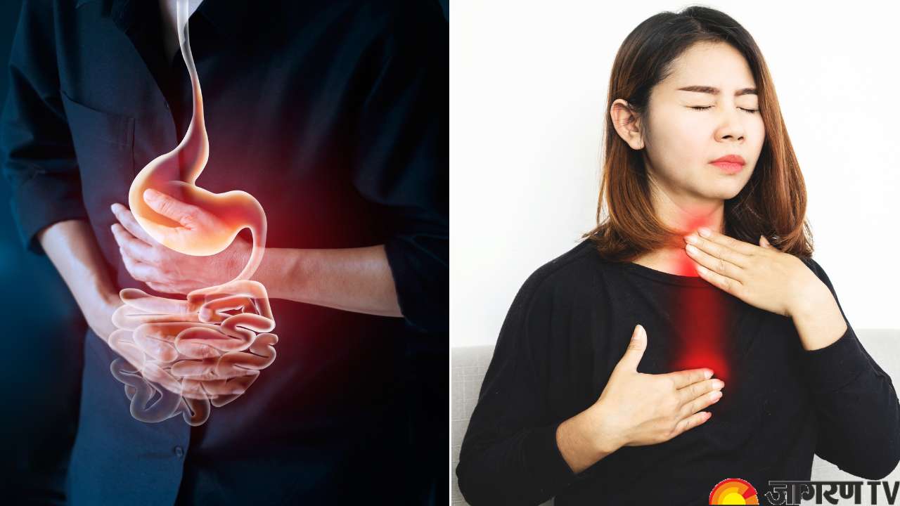 Know about Gastrointestinal Disease, its Causes, Symptoms, Diet ...