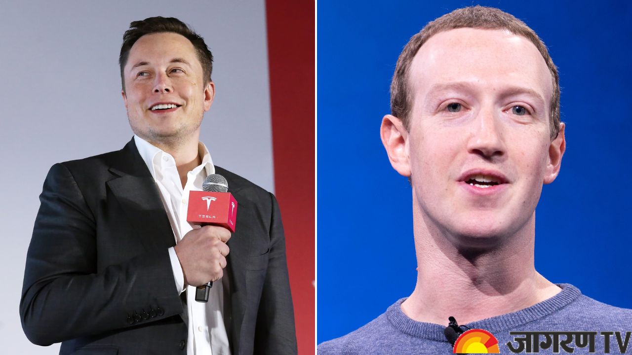 Elon Musk vs Mark Zuckerberg Cage Fight: Know all details here