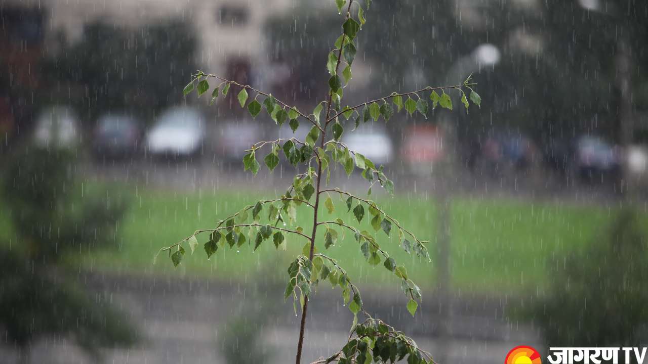 Latest Weather Forecast Today Imd Predicts Heavy Rainfall In Up Bihar