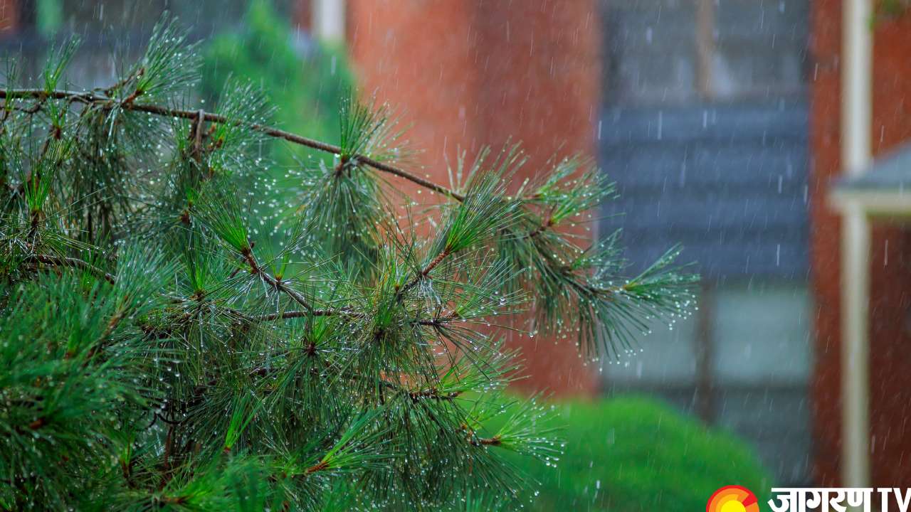 IMD Weather Update Today: No Respite From Intense Heat in Delhi NCR ...