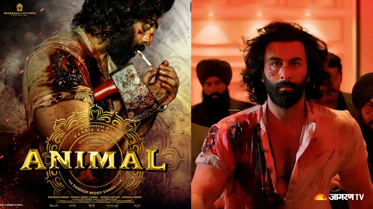 Animal’s Arjun Vailly: Punjabi Folklore in Bollywood Culminating ...