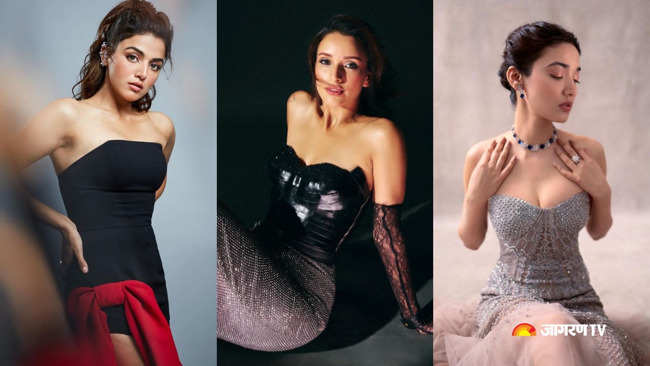 Triptii Dimri to Raashii Khanna: Bollywood’s rising Queens dominating the industry with their charisma and craft