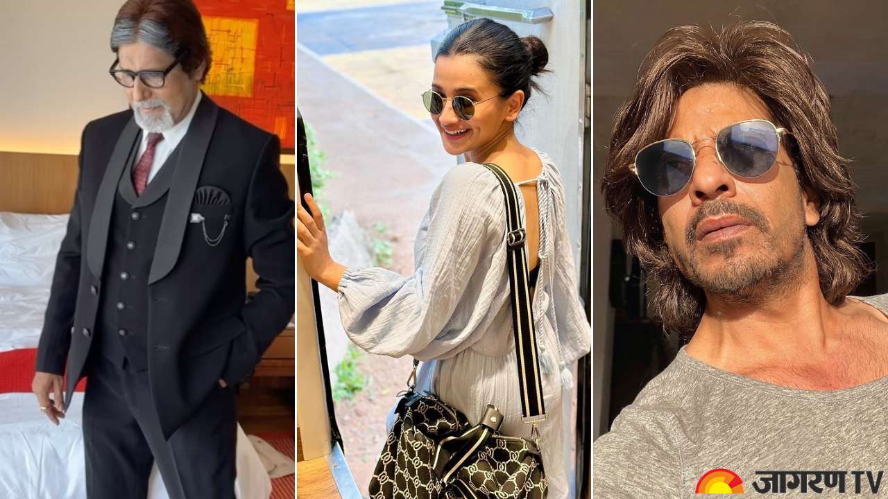 From Shah Rukh Khan to Alia Bhatt, Bollywood Celebrity and Their ...