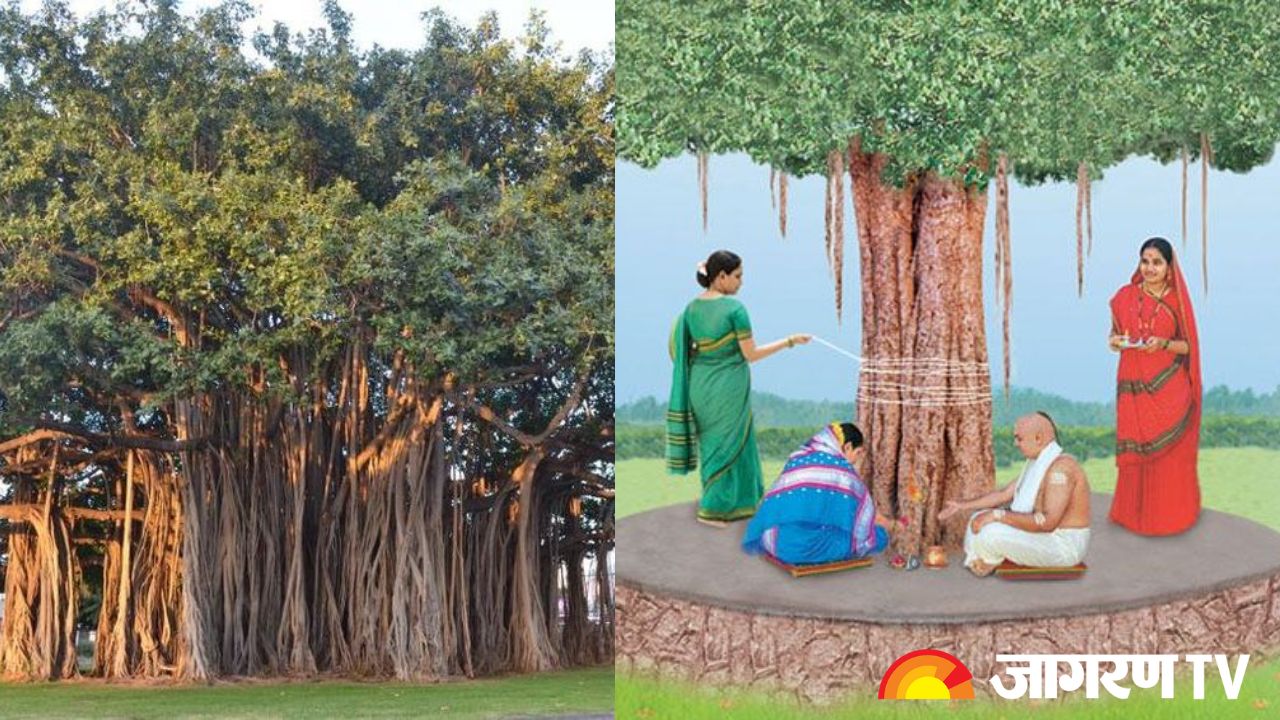 Vat Savitri Vrat 2024 Upay: पति की लंबी आयु और सुखी दांपत्य जीवन के लिए वट सावित्री व्रत पर करें ये उपाय