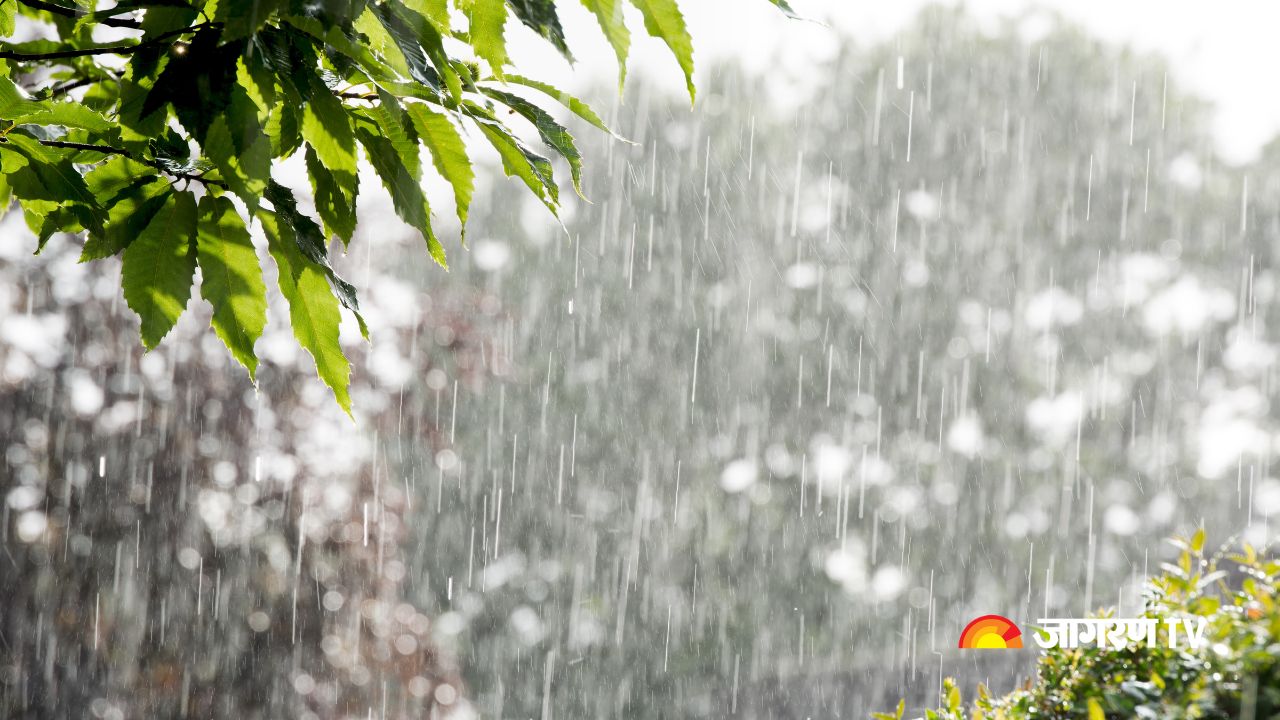 Weather Report: Rain Respite In Delhi, Heat waves to continue in MP, UP, Bihar; Orange Alert in Goa, Assam, Meghalaya