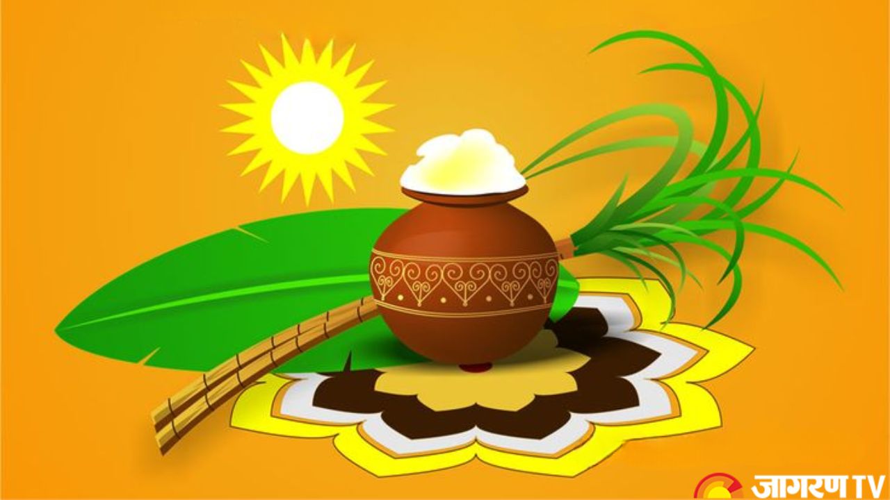 Pongal 2025 History, Significance, Traditions, Kolam, Festive Food & More