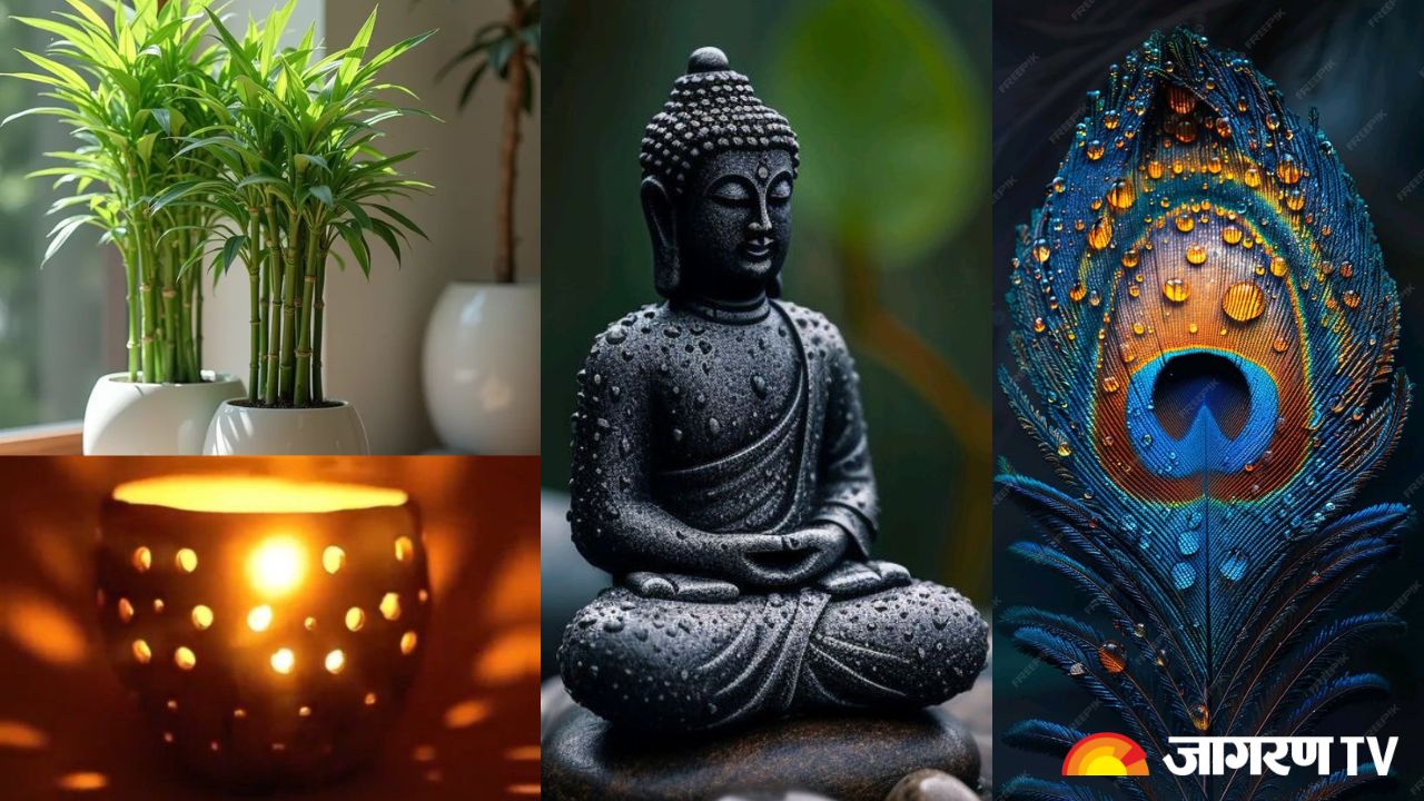 Buddha Purnima 2025: बुद्ध पूर्णिमा के दिन घर लाएं ये चीजें, मिलेगा लाभ