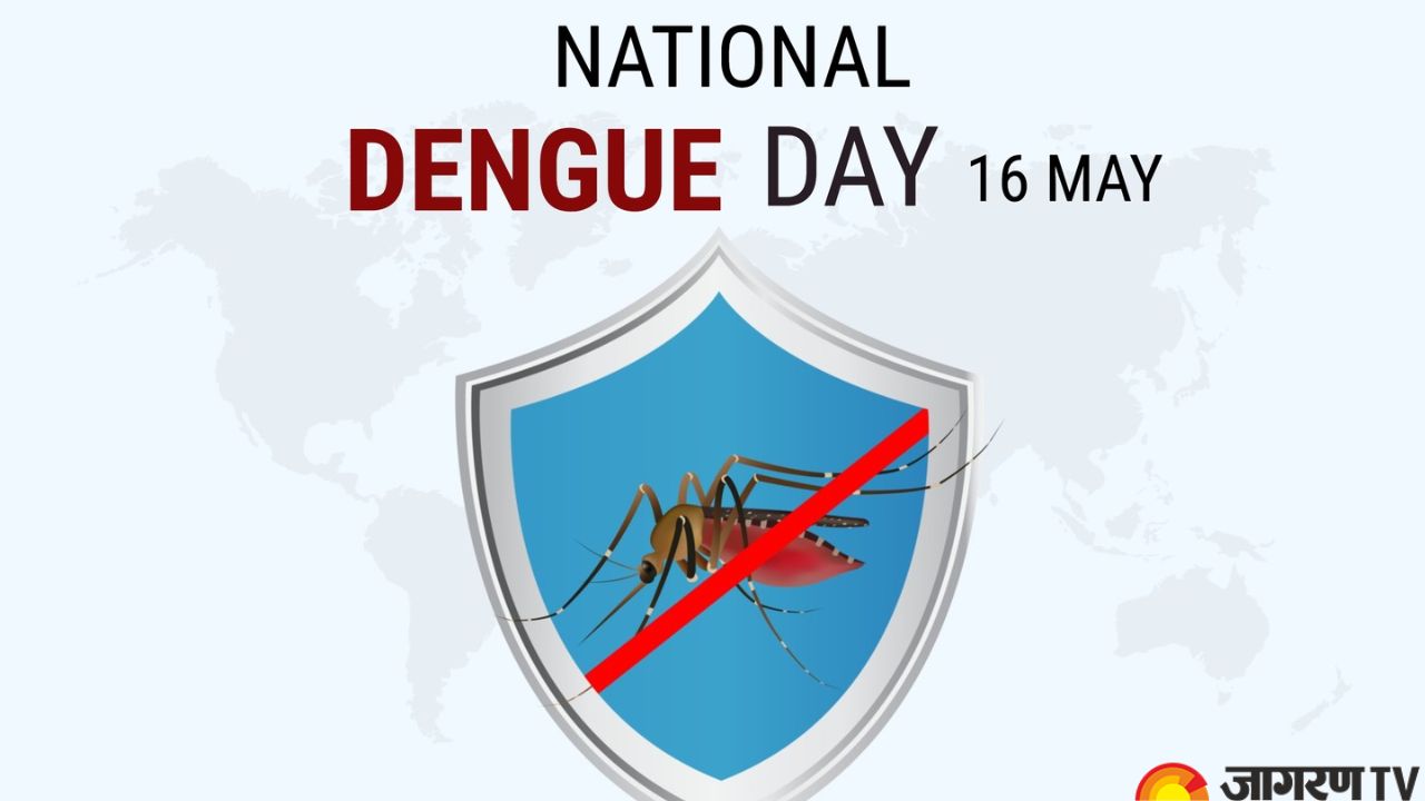 National Dengue Day 2025: Common Myths and Truths Related to This Mosquito-Borne Disease You Must Know