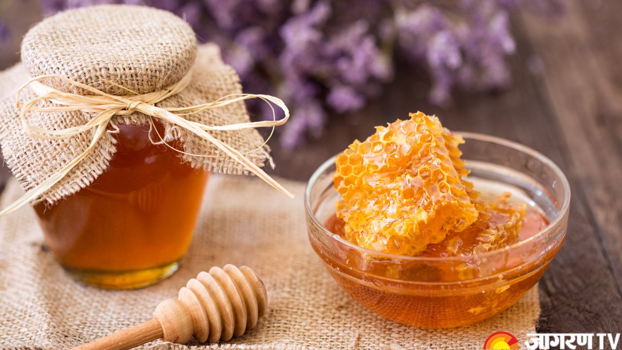World Bee Day 2025: Other Than Honey, These Products Are Made From Honeybees, Know Their Uses