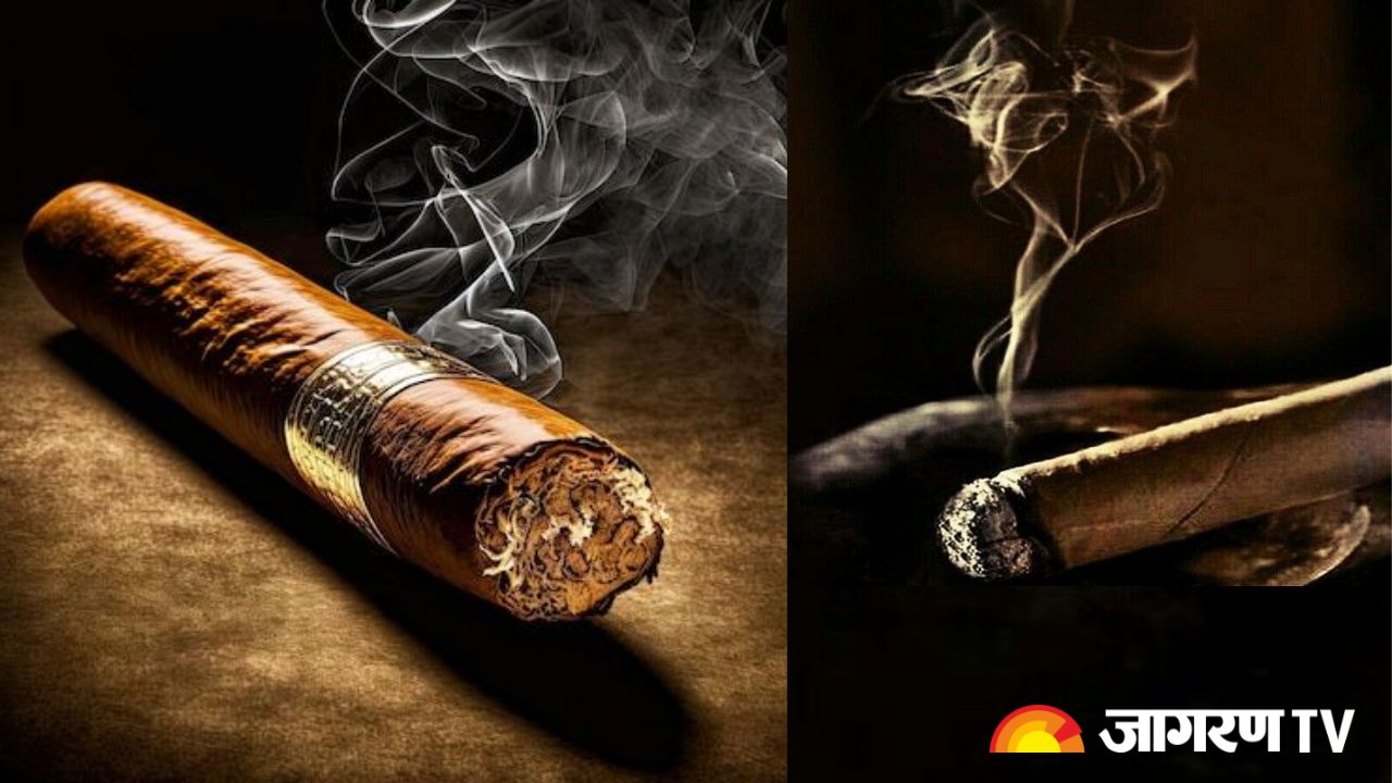 World No Tobacco Day 2025: तंबाकू के सेवन से होने वाली गंभीर बीमारियां