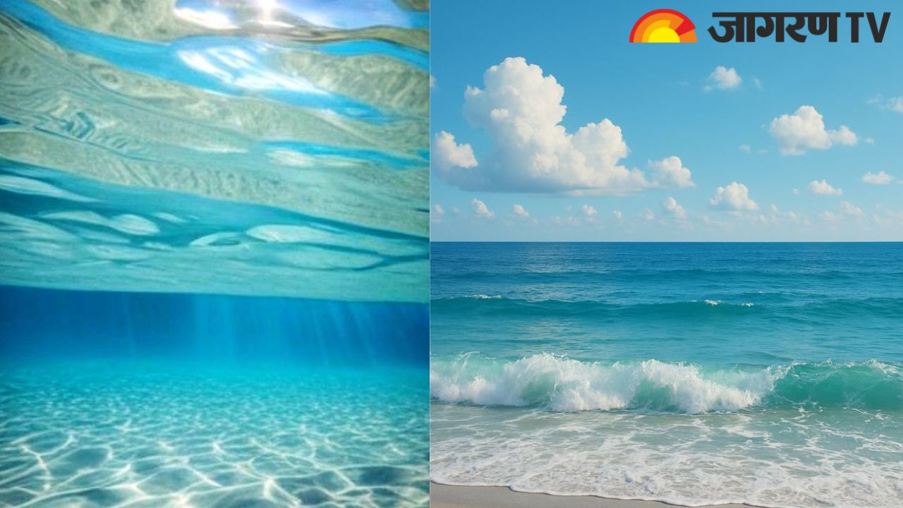 World Oceans Day 2025 : क्यों मनाया जाता है विश्व महासागर दिवस?, जानें इतिहास, थीम और महत्व
