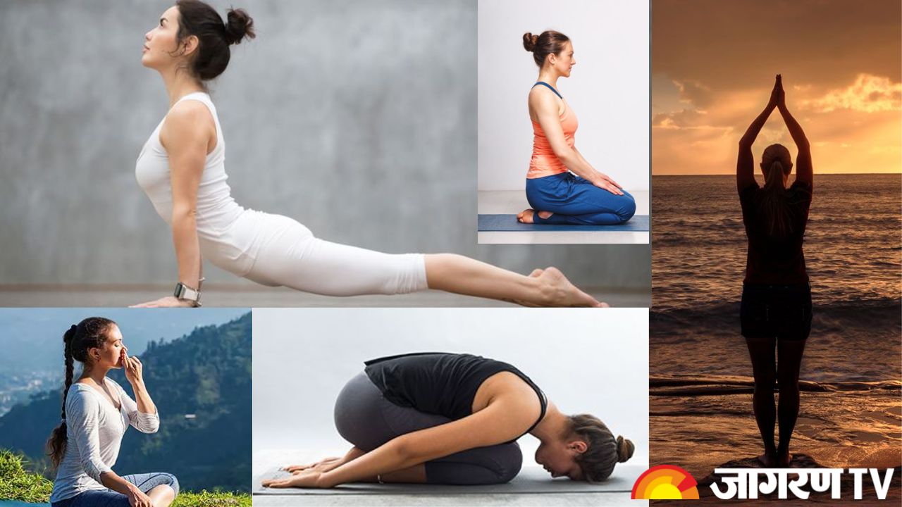 International Day of Yoga 2025 : वर्किंग वुमन के लिए आसान योगासन, ऐसे रहें फिट
