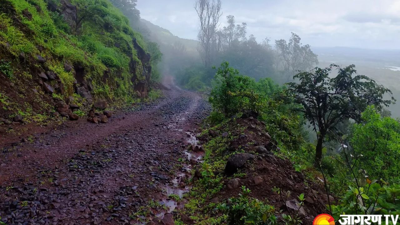 World Rainforest Day 2025: List of India’s Most Breathtaking Rainforest Landscapes