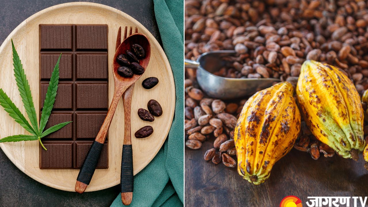 World Chocolate Day 2025: Invention of First Edible Chocolate, Know the Process, Types, and More