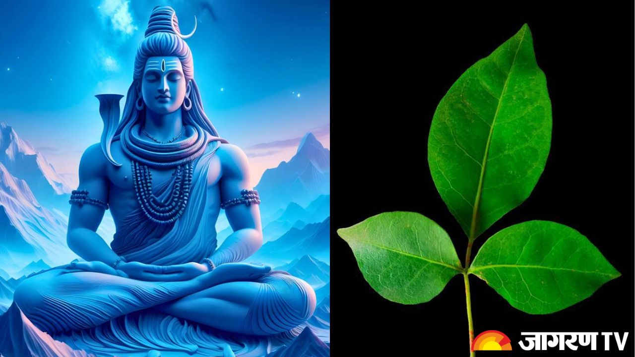 Sawan 2025 : सावन में शिवलिंग पर क्यों चढ़ाया जाता है बेलपत्र और जल? जानें पौराणिक कारण
