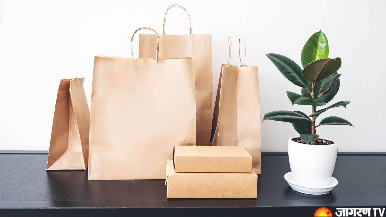 International Paper Bag Day 2025: Embracing Eco-Friendly Choices for a Greener Tomorrow