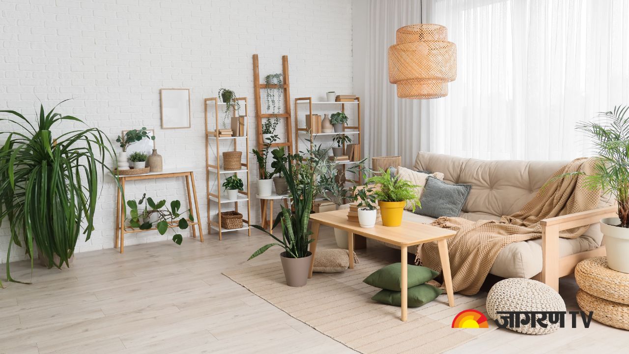 Monsoon Homecare: Ways To Reduce Moisture And Keep Your House Damp Free In Rainy Season