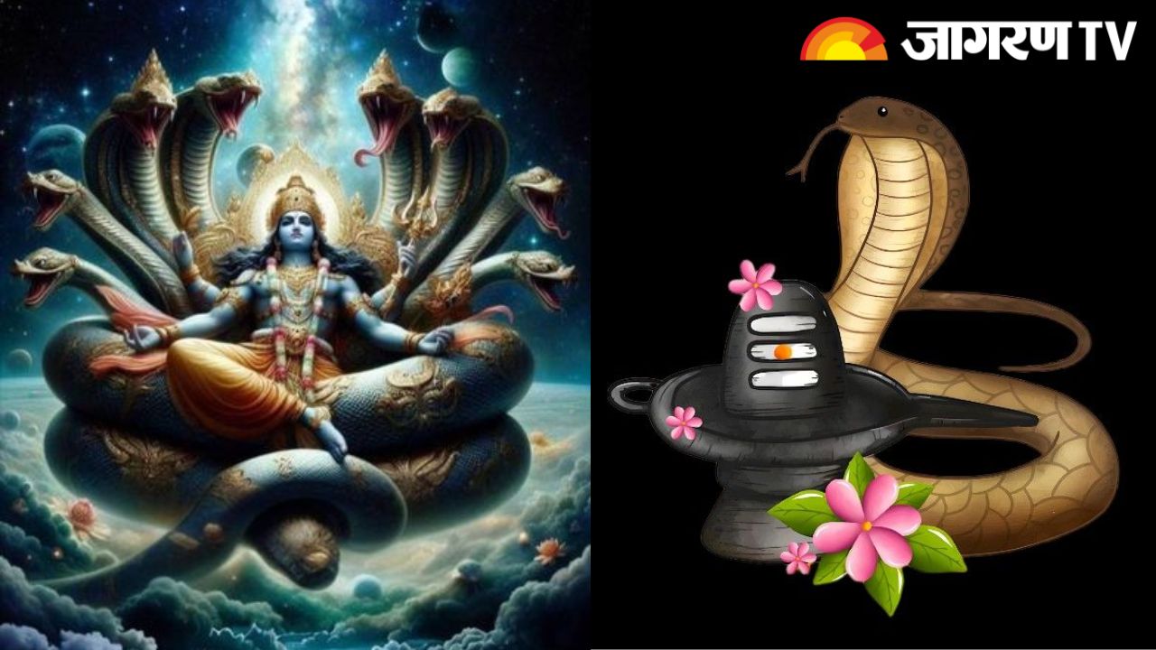 Nag Panchami 2025 : नाग पंचमी पर किन नागों की होती है पूजा? जानें  विशेषता और महत्व