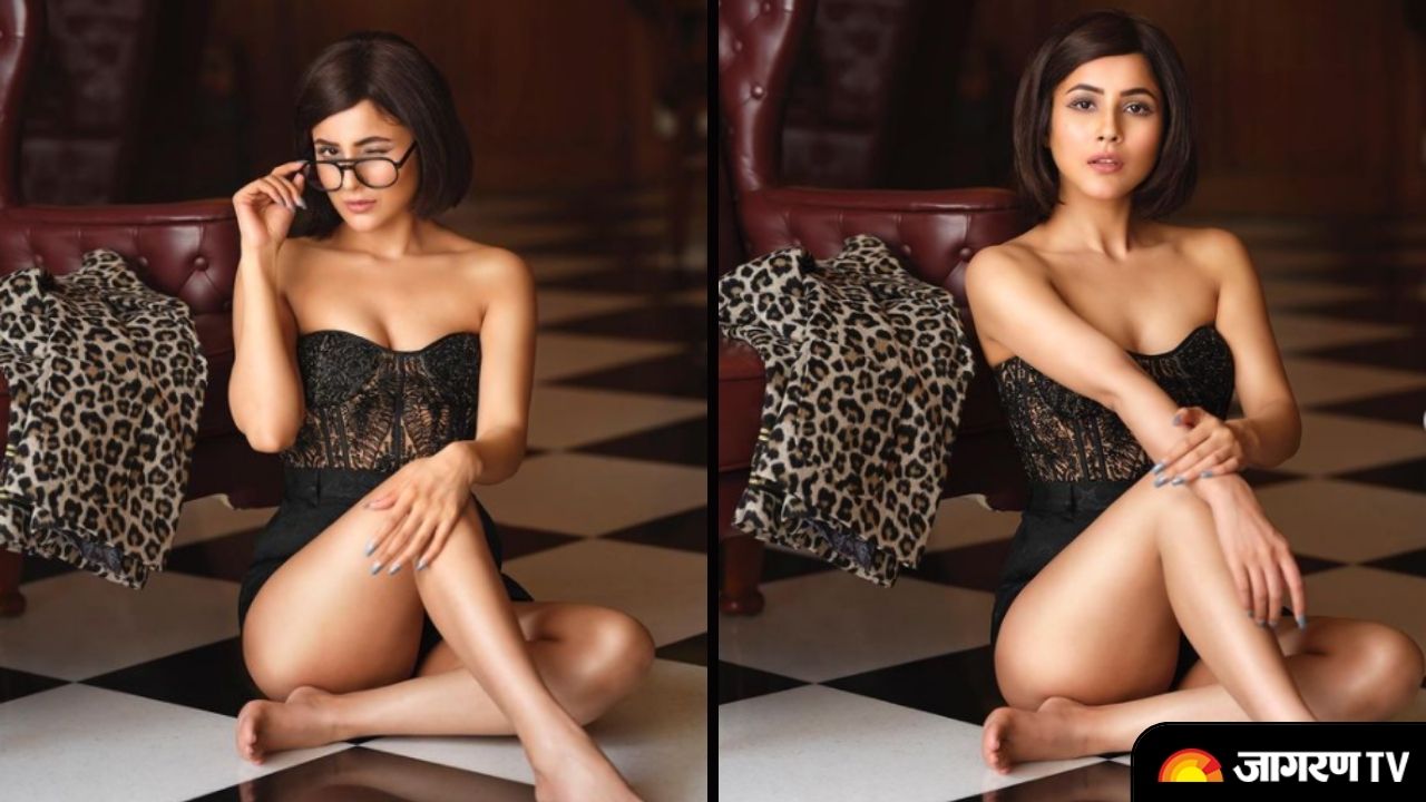 In Pics Shehnaaz Gill sets the internet on fire as she became muse for Daboo Ratnani