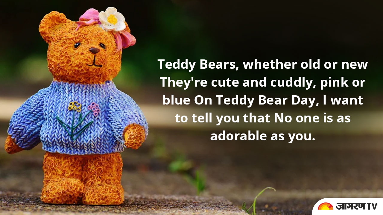 Teddy day hot sale for friends