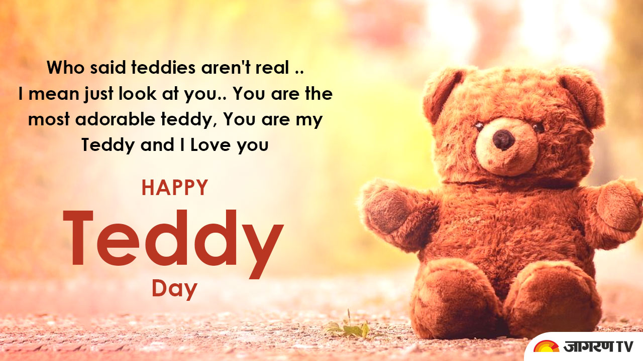 teddyday3