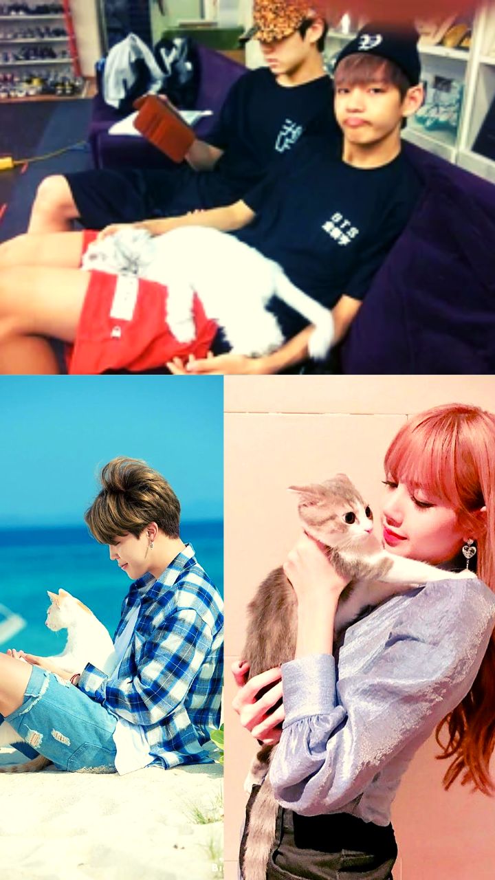 K-pop idols who are cat lovers; BTS Taehyung to Blackpink Lisa
