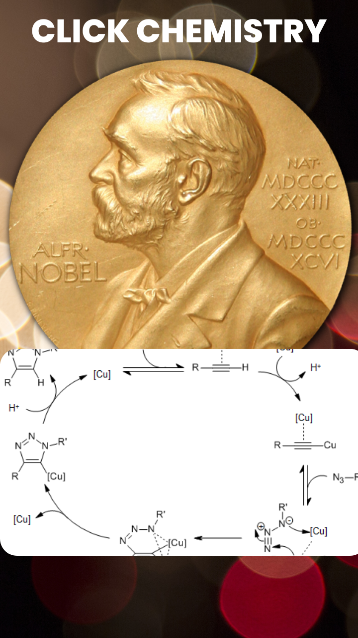 Nobel Prize 2022: What is Click Chemistry, the prize-winning chemistry experiment?