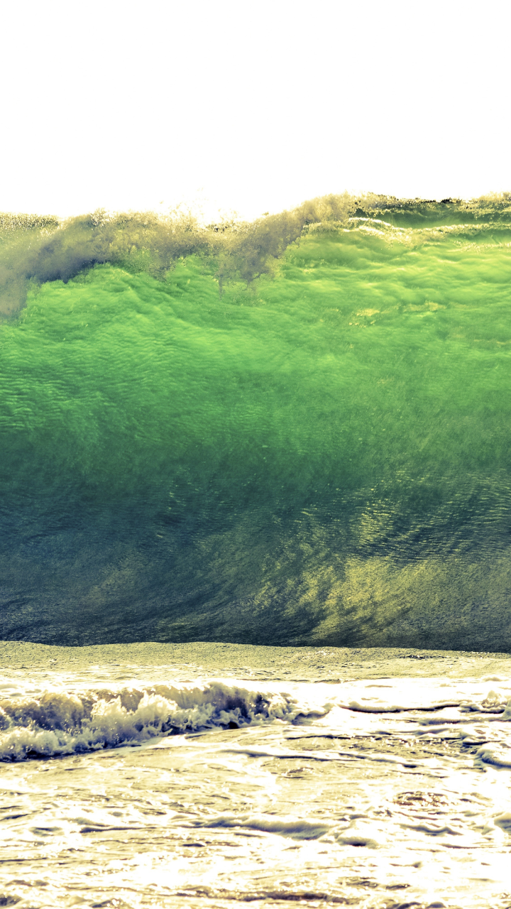 National tsunami day